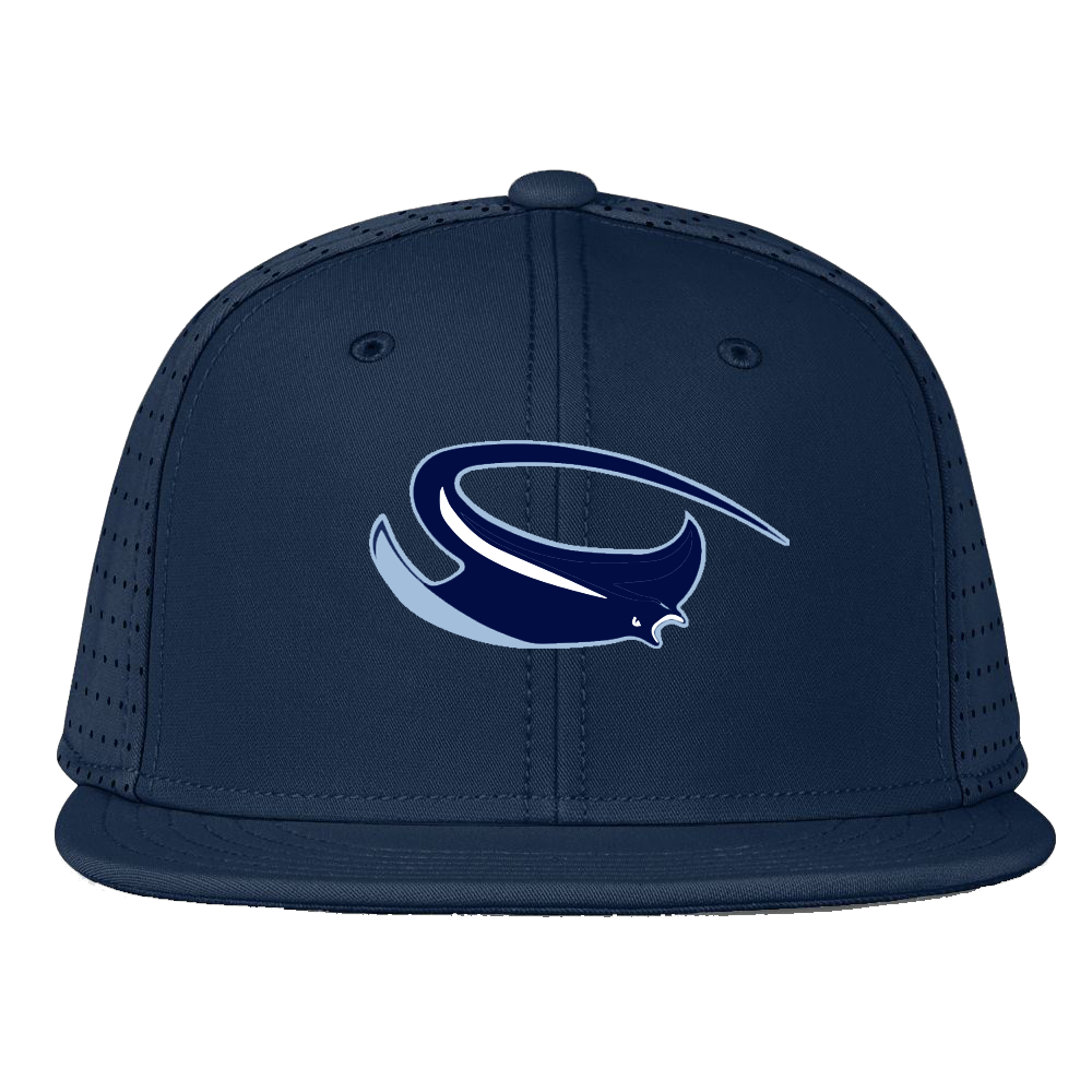 Triton Rays Baseball Custom Baseball Jersey – Triton Swag Shop